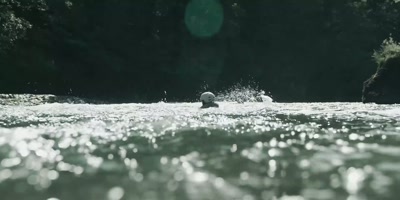 Gray! - River Wild