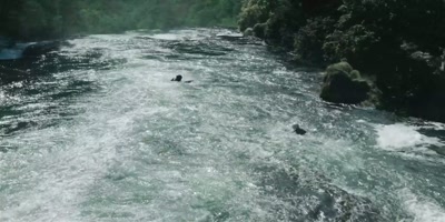 Gray! - River Wild