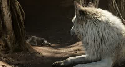 Gray, what's wrong? - The Jungle Book