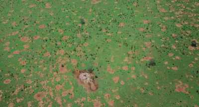 Great droughts bring great rains. - The Elephant Queen