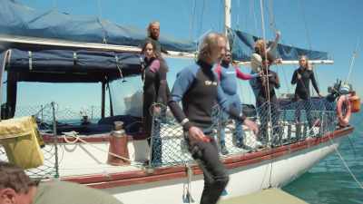 Great. I'll watch over them. - 6-Headed Shark Attack