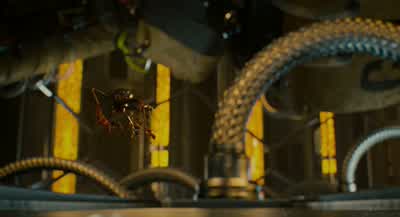 Great job, guys. - Ant Man