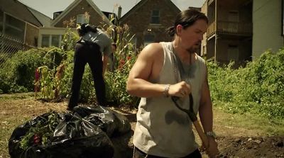 Great looking tomatoes. - Shameless