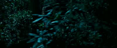 What are you doing? - Harry Potter and the Prisoner of Azkaban