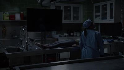 Great. - Hawaii Five-O