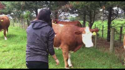 Great. Went on a date
with Siobhan, - There Is No "I" in Threesome