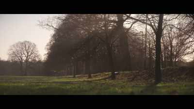 [Green] A pattern is now
definitely emerging... - The Ripper