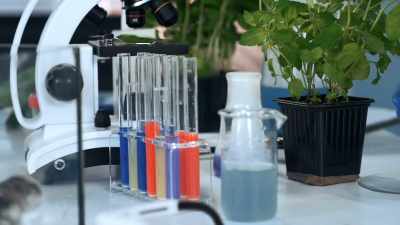 Green obtained grass
and soil samples - Project Blue Book Exposed