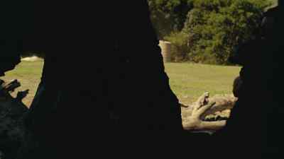 Greg, Joe, cover the left flank. - Strike Back