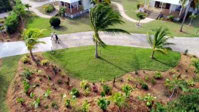 Greg/Sarah: (laughter) - Island of Bryan