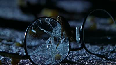 Greg? Greg! Where have you been? Greg! - Smallville