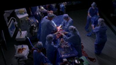 Grey, I can't see anything. I'm suctioning. - Grey's Anatomy