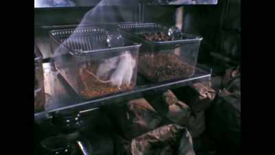 Griffin: They were exposed
to the lunar material - Apollo: The Forgotten Films