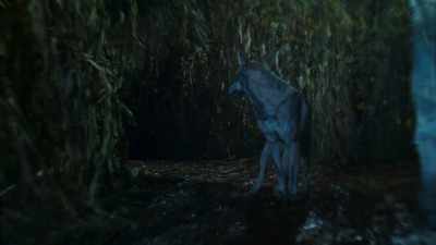 Grim is hiding out in a ghost town corn maze. - Phantom Pups