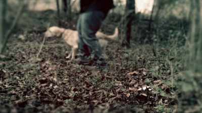 Grimm:
THEY SIMPLY FOUND BONES
IN A PARK ALMOST A YEAR AFTER. - Chandra Levy: An American Murder Mystery