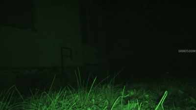 (groaning) - The Fear Footage