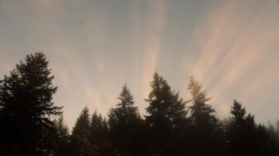 [groaning] - Twin Peaks