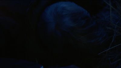 [groaning] - NCIS