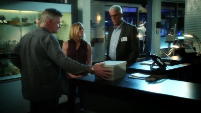 (groaning) - CSI: Crime Scene Investigation