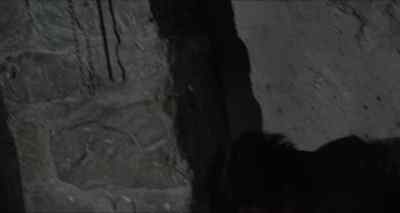 (groaning) Use the gun, Amy. - Straw Dogs