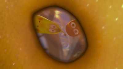 - [groaning]
- [yelps] - Larva Family