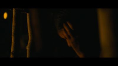 [groans] - Prey