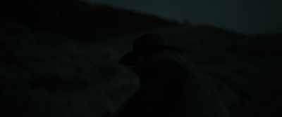 [ Groans ] - Murder at Yellowstone City