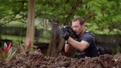(groans) - Hawaii Five-0