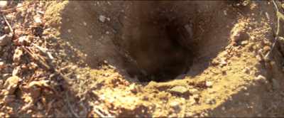 [groans] - Dead Ant