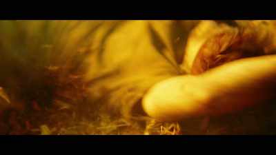 (GROANS) - Kong: Skull Island