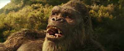 [groans sadly] - Godzilla x Kong: The New Empire