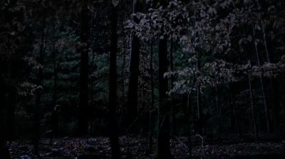 (Groans, sighs) - The Originals