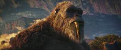 [groans softly, snorts] - Godzilla x Kong: The New Empire