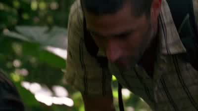 Gross, little, grayish yellow things. - Lost