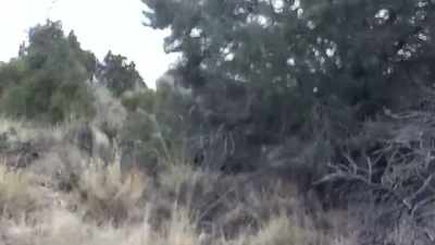 (ground crunching) - Horror in the High Desert