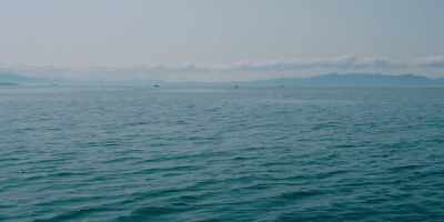 Group size, four. 131, 500. - Fathom