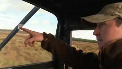Grouse there, look.
Birds out in front. - Chronicles of the Glens