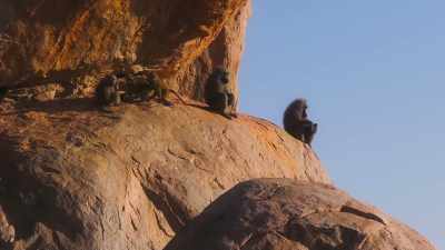Growing old can be a
time for new beginnings. - The Secret Lives of Animals