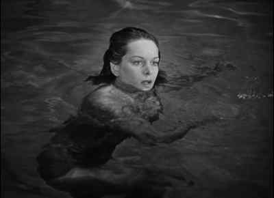 (growling continues) - Cat People