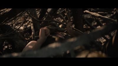 [growling fades] - Prey