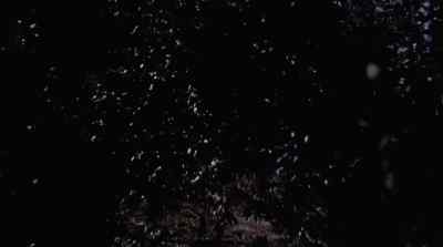 (growling)
(frightening music) - Cellar Dweller