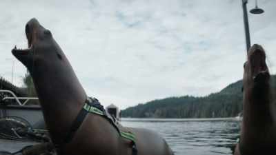 [growling] - Siren