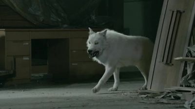 (growling) - Hemlock Grove