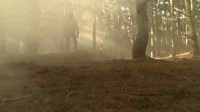 ( growling ) - Legend of the Seeker