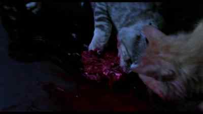 (growling) - Eye of the Cat