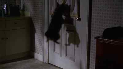 [growling] - That Darn Cat!