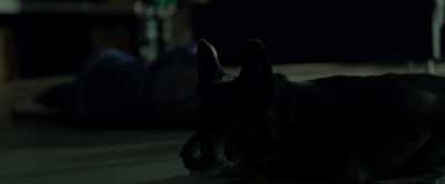 [Growling] - Daddy's Head