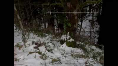 (growling) - Feet of Death