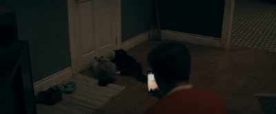 [growling] - Dear David