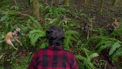 (GROWLING) - Grimm